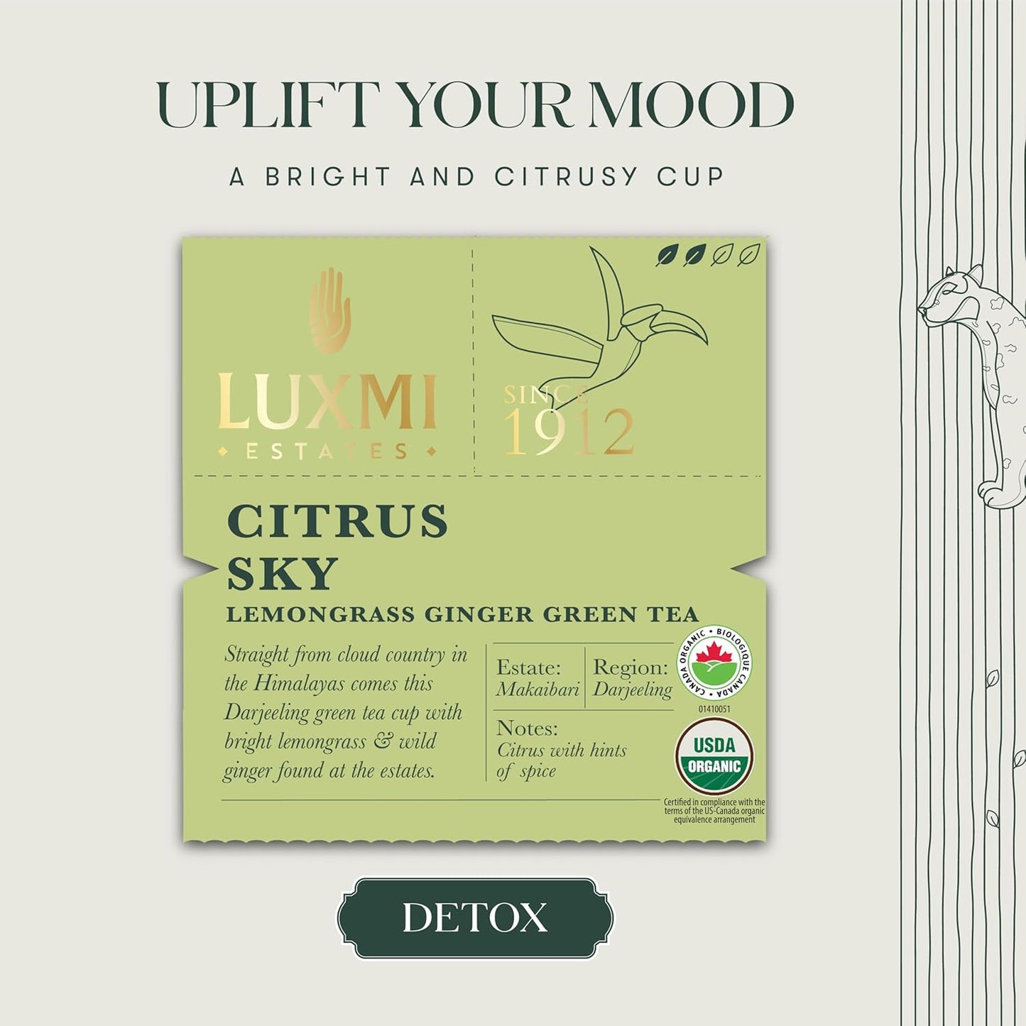 Luxmi Estates Citrus Sky Green Tea 100gm Tin | Certified Organic Darjeeling Green Tea