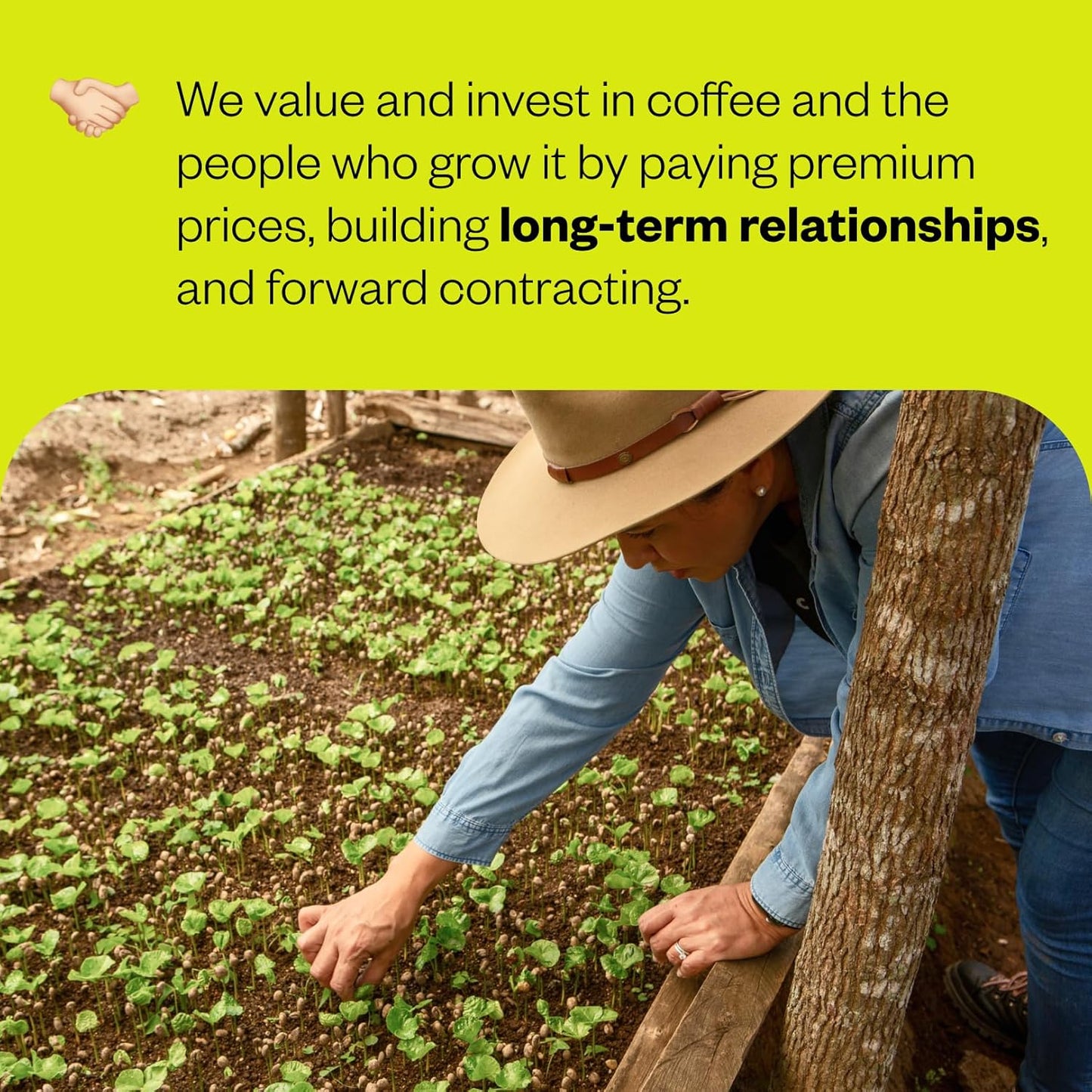 Counter Culture Coffee - Whole Bean Coffee - Multi-Pack - One 12oz Bag of Each (Big Trouble and Hologram)