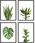 HAUS AND HUES Plant Photo Set of 4-11x14 by HausandHuesArtPrints