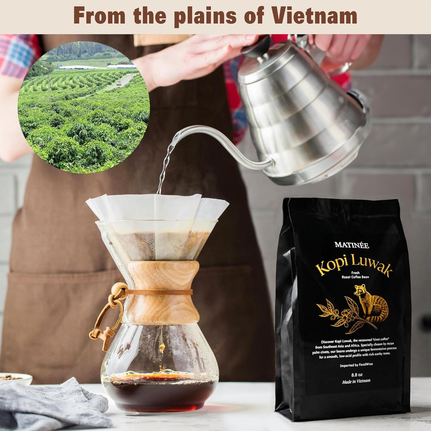 MATINÉE Wild Kopi Luwak Coffee Beans, Medium Roast, Whole Bean Beans, Civet Coffee - Sustainably Sourced From Vietnam, 8.8oz / 250 Grams