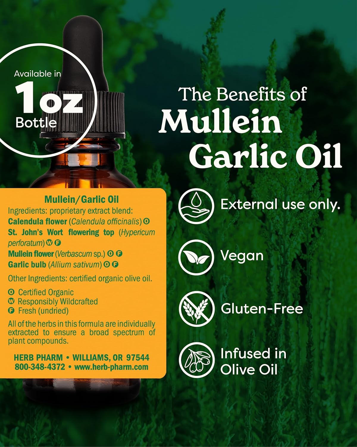 Herb Pharm Mullein Garlic Herbal Oil - contains Calendula, Garlic, Mullein flower, St. John's Wort, Olive Oil, 1 Ounce