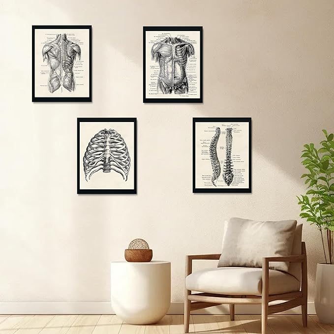 Ohhvvow Human Anatomy Artwork Medical Wall Art Canvas, 8 * 10 Inch Muscle - Image 7