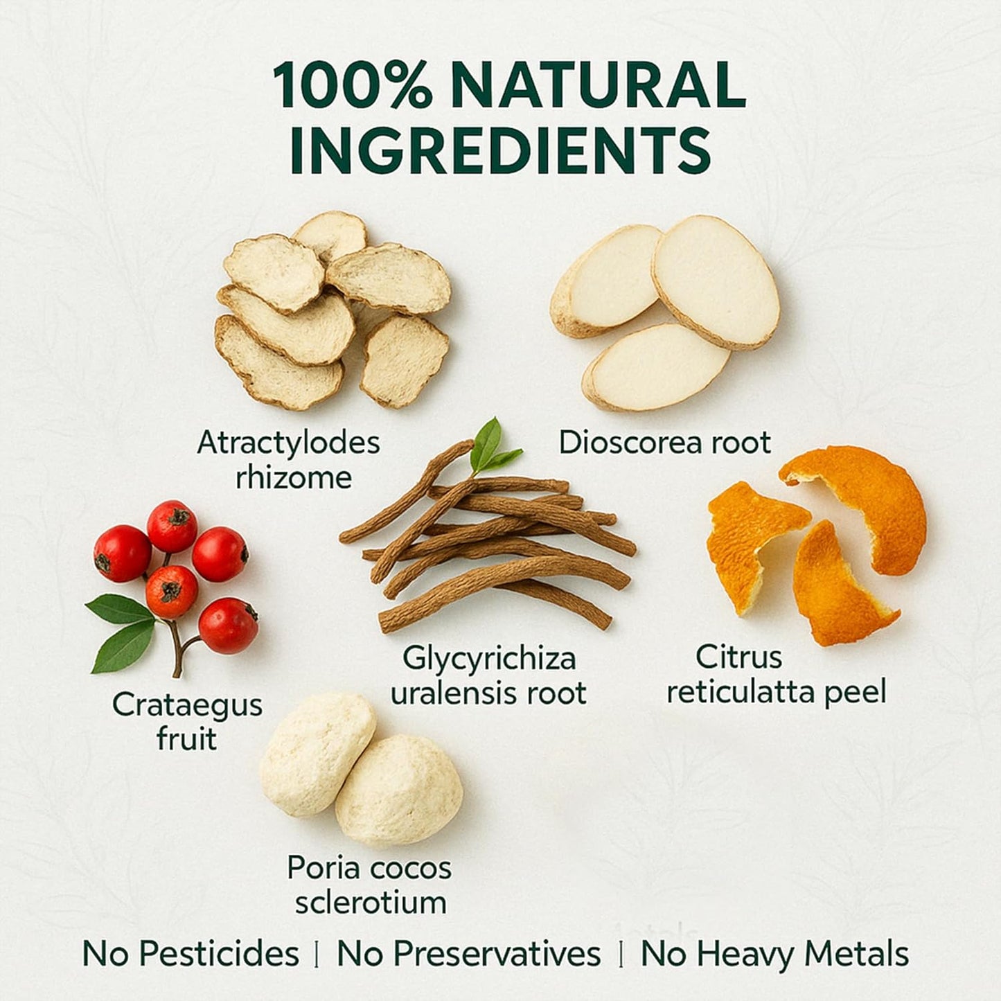 Herb Guru Immuniherb Herbal Tea Bags – Healthy Immune Function & Respiratory Comfort with Ginger, Balloon Flower, Mint & Licorice Root – Caffeine Free Tea, 0.88 Ounces