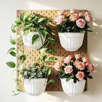 5 Pack Resin Wall Hanging Planter Pot Vertical Garden Living Wall Mount Window - Image 6