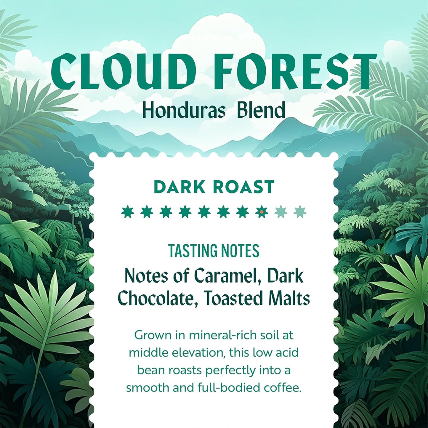 Clean Coffee Co. - Low Acid Dark Roast, Tested for Molds and Toxins, Honduras Blend, Notes of Caramel, Dark Chocolate, and Toasted Malts (Whole Bean, 12 oz Bag)