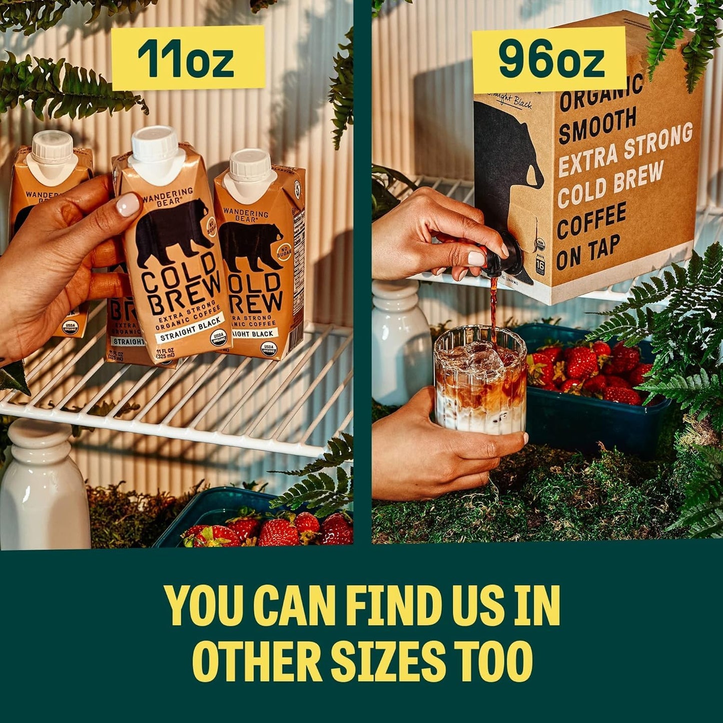 Wandering Bear Espresso Roast Organic Cold Brew Coffee, 32 fl oz, 3 pack - Extra Strong, Bold, Smooth, Unsweetened, Shelf-Stable, Ready to Drink, 100% Organic, Iced Cold Brewed Coffee Drinks