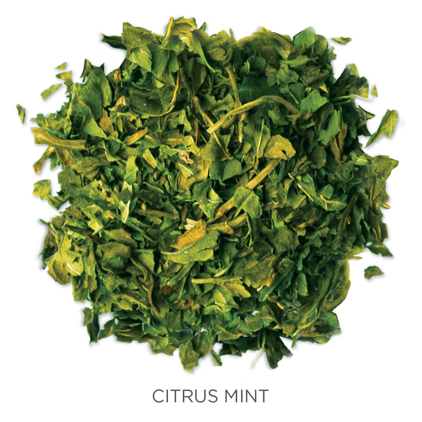 Tea Forte Citrus Mint Premium Organic Loose Leaf Caffeine-Free Herbal Tea Blend Canister, Makes 35-50 Cups