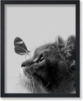 Poster Master Butterfly on Cat Poster by PosterMaster
