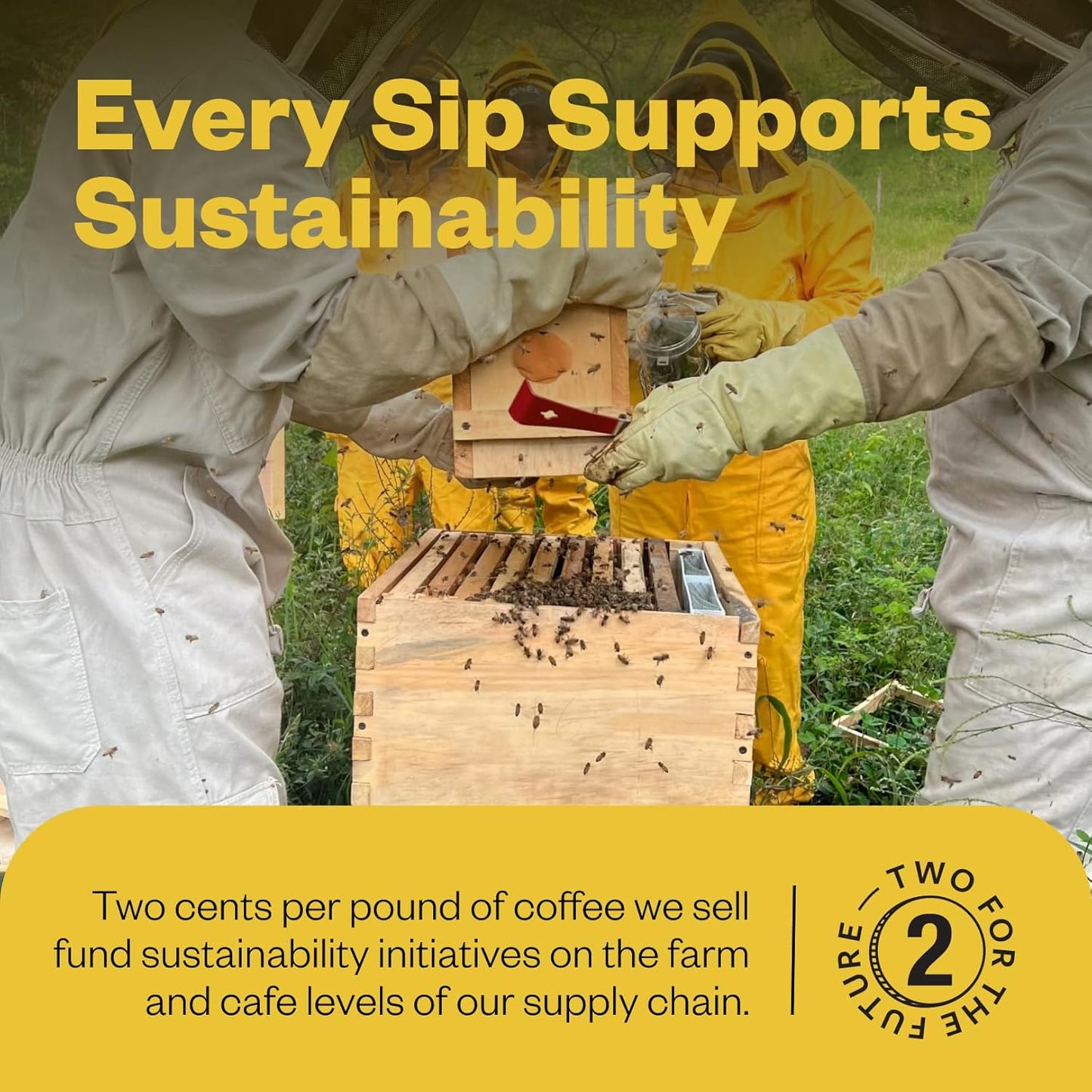 Counter Culture Coffee - Fresh Roasted Certified Organic Whole Bean Coffee (Kosher) (Apollo Double Pack)