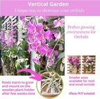 ShopLaLa Large Hanging Wall Planters - Image 8