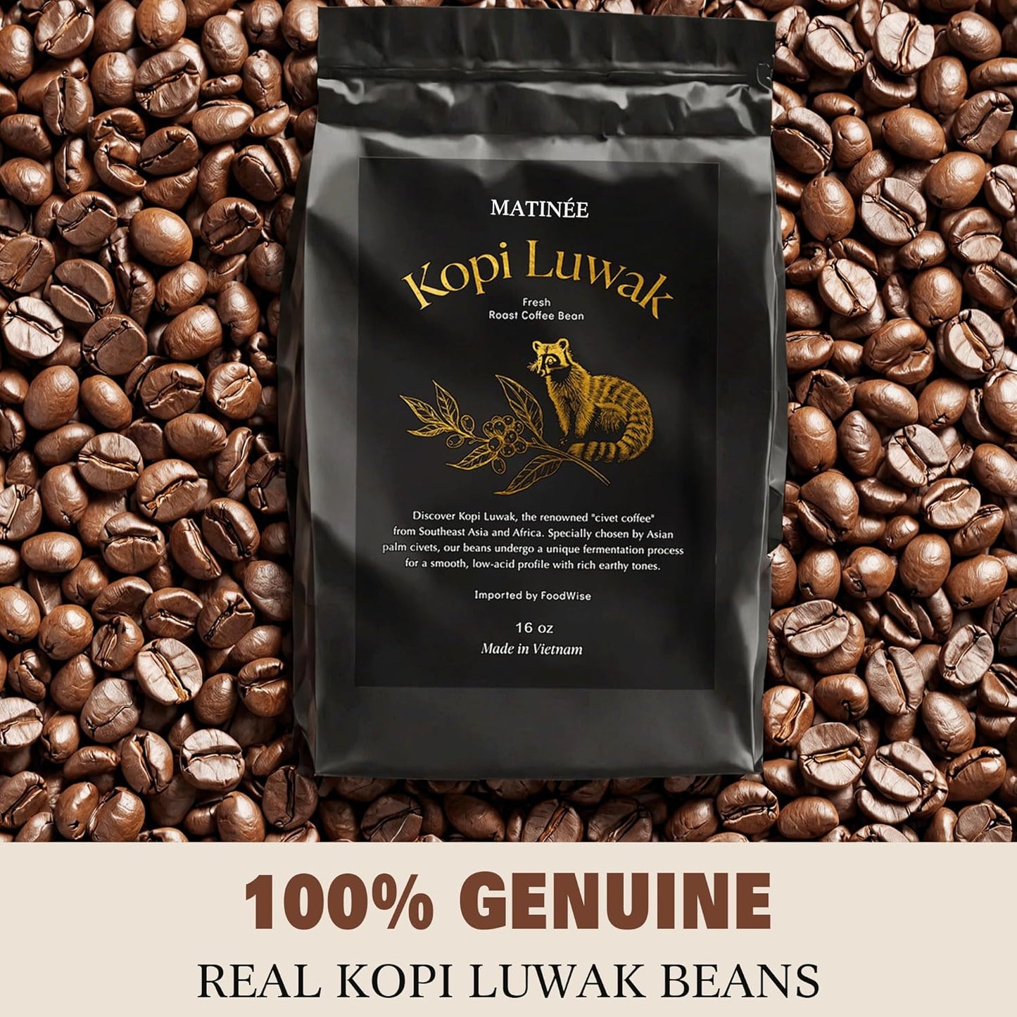 MATINÉE Wild Kopi Luwak Coffee Beans, Medium Roast, Whole Bean Coffee, Civet Coffee, Wild Kopi Luwak Coffee - Sustainably Sourced From Vietnam, 16oz / 454 Grams