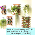 ShopLaLa Wall Planter – Wooden Air Plant Succulent Holder Hanger Indoor Outdoor - Image 7