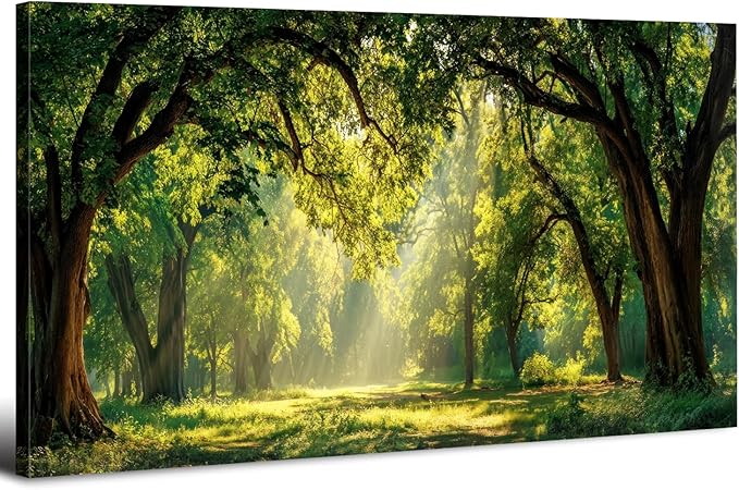 Forest Canvas Wall Art for Living Room Nature Landscape Pictures Wall Decor by HOME