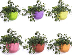 6 Pcs Colorful Resin Wall Hanging Planter Pot Vertical Garden Living Wall Mount - Image 7