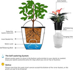 3 Pack Self Watering Wall Hanging Planter Pots Vertical Garden Window Hang - Image 5