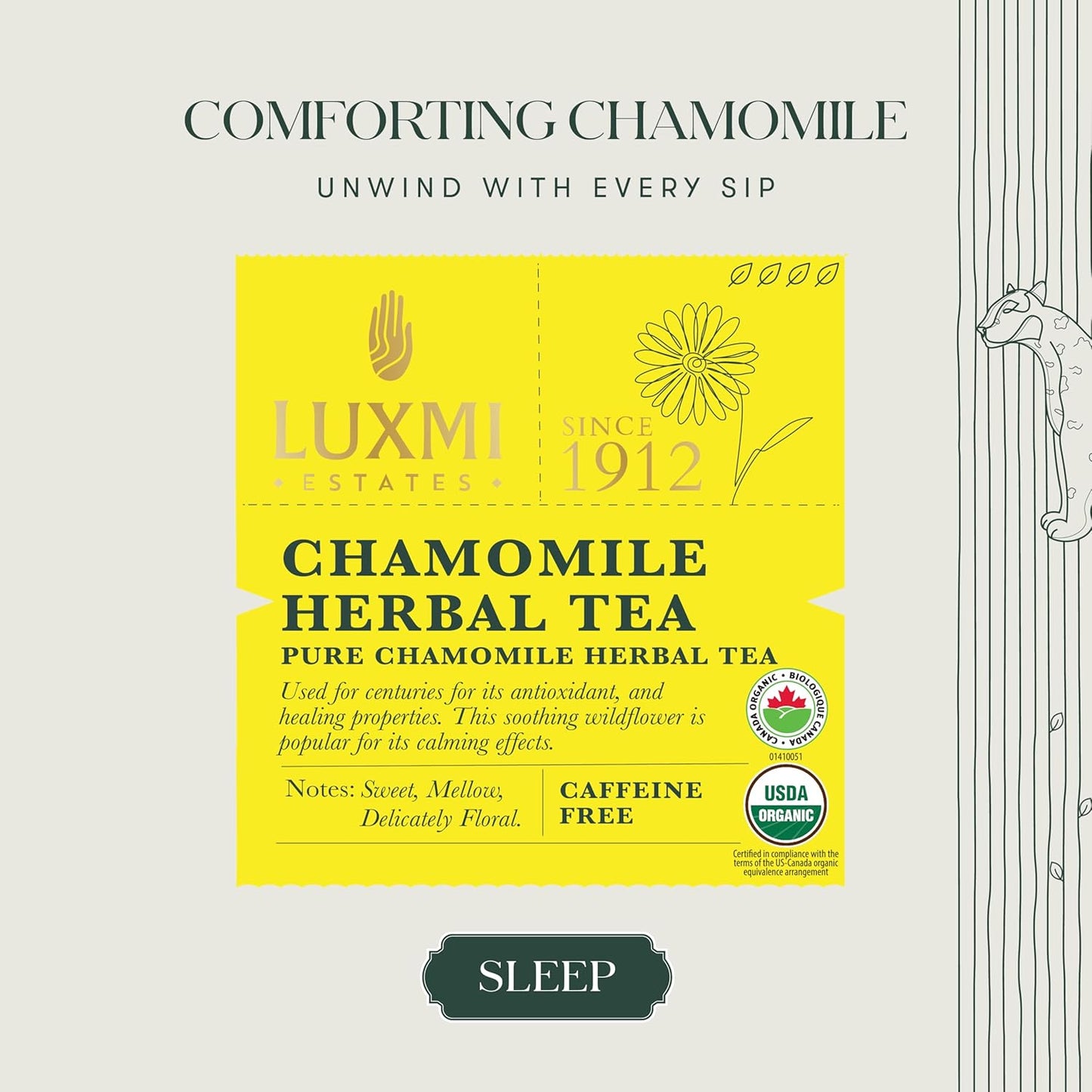 Luxmi Estates Chamomile Herbal Tea 100g Loose Leaf Tea | Herbal Tea | Caffeine-Free | Single Ingredient | 50 Cups Bulk Pack