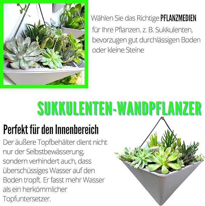 LaLaGreen Succulent Wall Planters - Image 5
