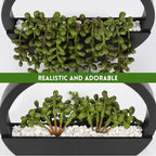 Floweroyal 2pcs Artificial Succulents Hanging Plants 12.2'' Fake String of - Image 4