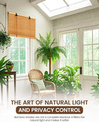 23" Wx48 H Bamboo Blinds Roller Shades - Image 7