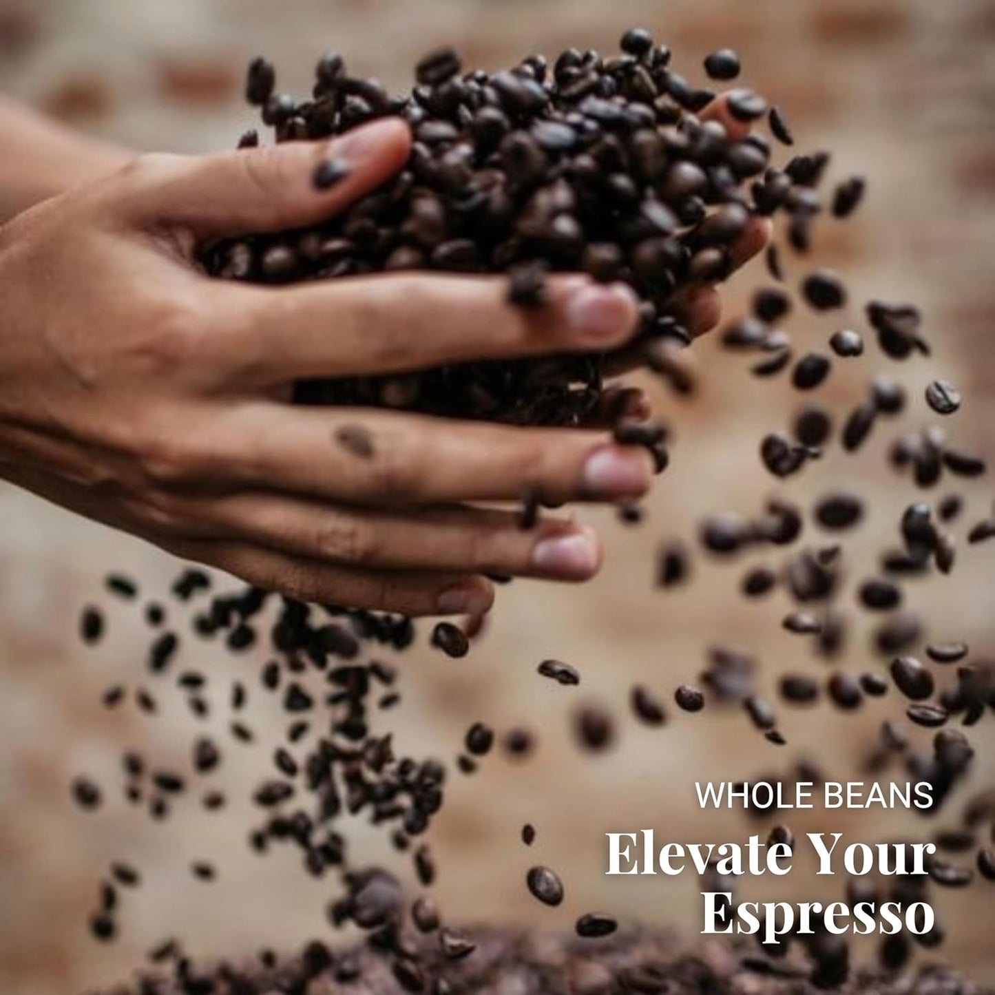 Caffe Vergnano 1882 Antica Bottega Whole Bean Arabica Medium Roast Espresso - Italian Coffee Beans Chocolate, Nuts and Caramel Notes, Intensity 5/10, 3.3 lbs