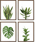 HAUS AND HUES Plant Wall Art by HausandHuesArtPrints