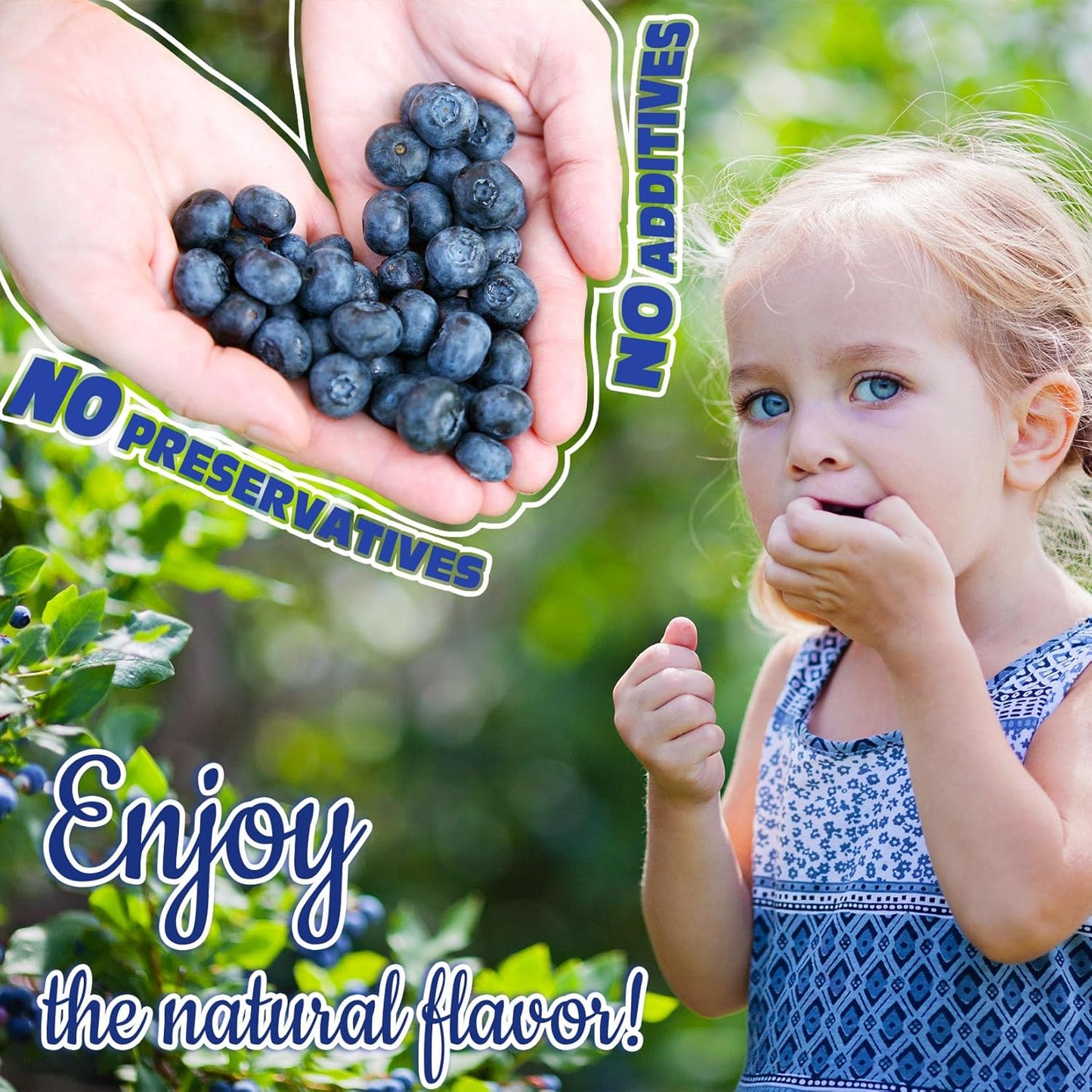 Freeze Dried Blueberry Powder - Kiigfood 6 oz/170g Natural Blueberry Powder Fruit Powder, Organic Blueberry Extract for Smoothie, Drinks, Baking, Cakes Decoration - Vegan, Non-GMO, Gluten-Free