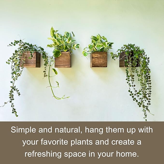 LaLaGreen Indoor Planter Box for Plants Small Square Wooden Wall Mounted - Image 8