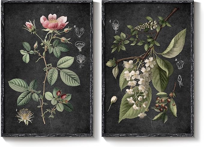 Large Framed Vintage Botanical Wall Art Set of 2, Rustic Retro Dark Floral - Image 9
