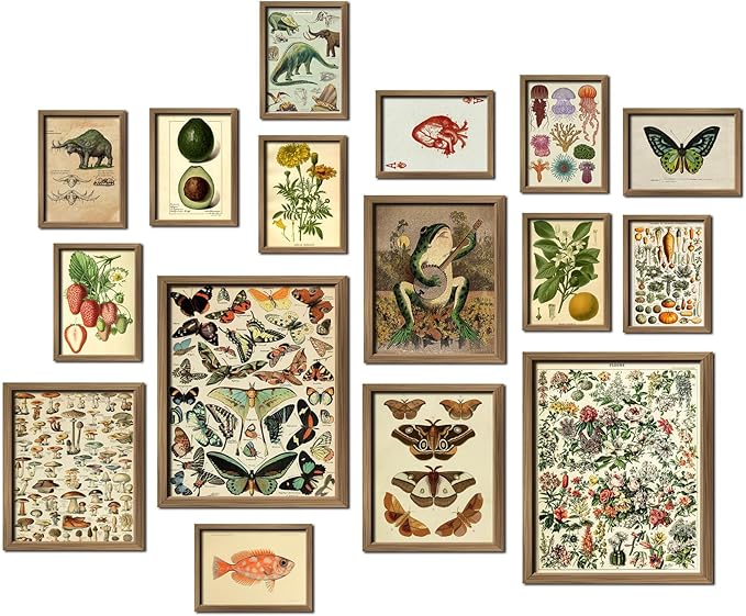 ANERZA 16 PCS Framed Vintage Wall Art Decor, Botanical Cottagecore Wall Prints by ANERZA