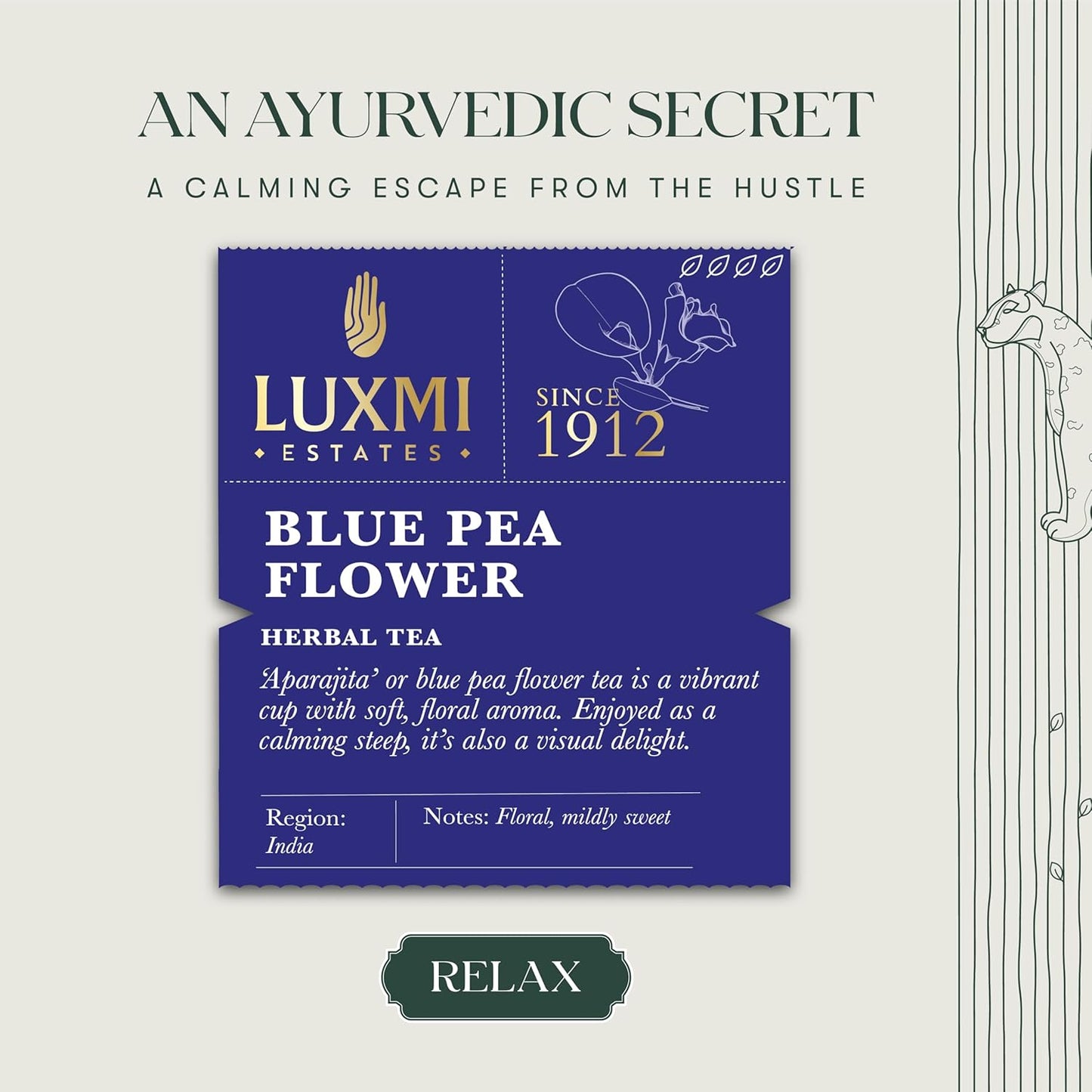 Luxmi Estates - Butterfly Pea Flower Tea - Loose Leaf - 25g (12 Cups) | USDA Certified Organic Blue Tea | Caffeine-Free | Single Ingredient