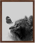 Poster Master Butterfly on Cat Print by PosterMaster