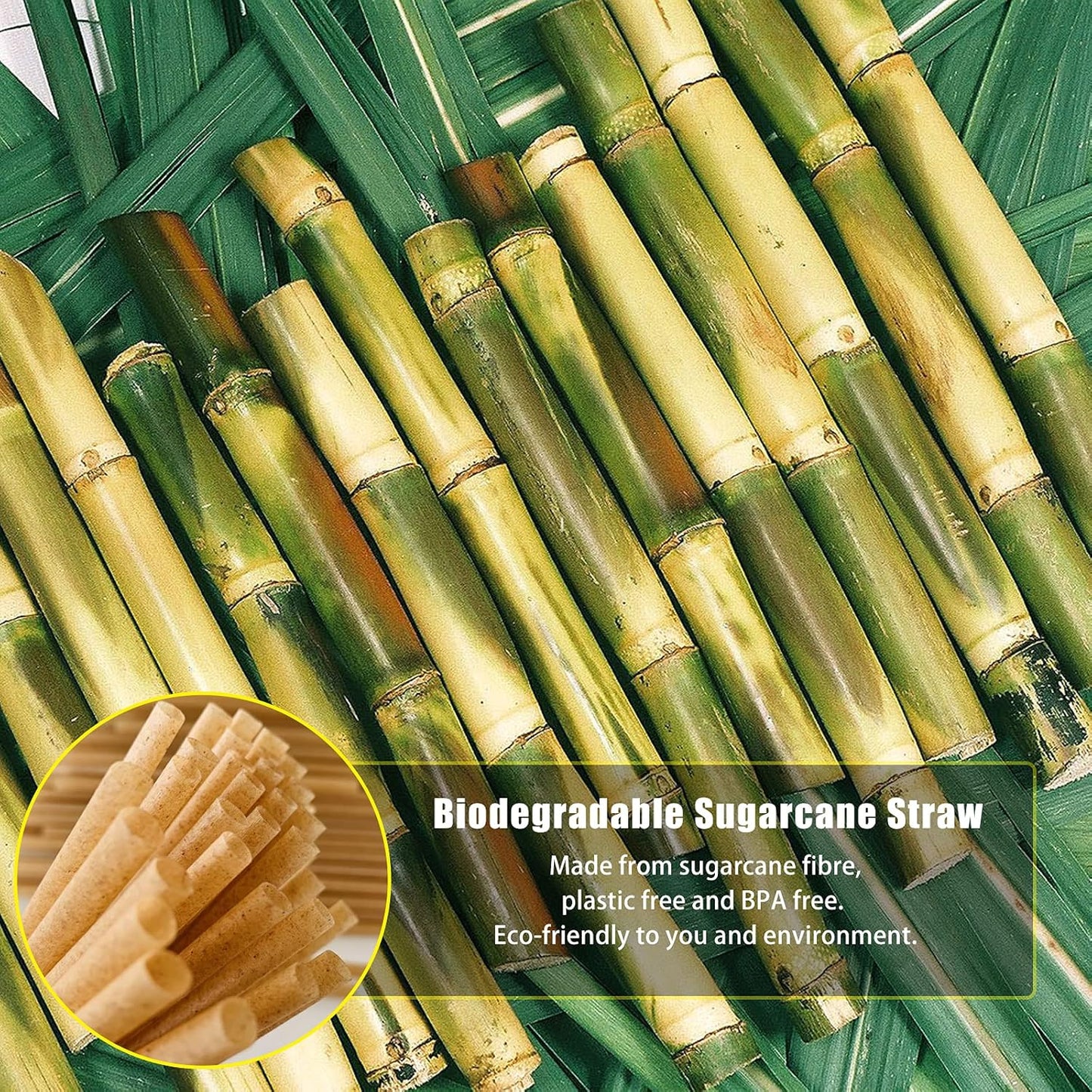 600pcs Compostable Biodegradable Sugarcane Straws Disposable 8 Inch Plasticless Sturdy Smoothie Straws Not Foggy Compatible with All Lid Types
