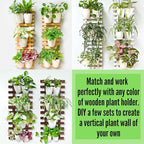 LáLáGreen Wall Planters for Indoor Plants - Image 9
