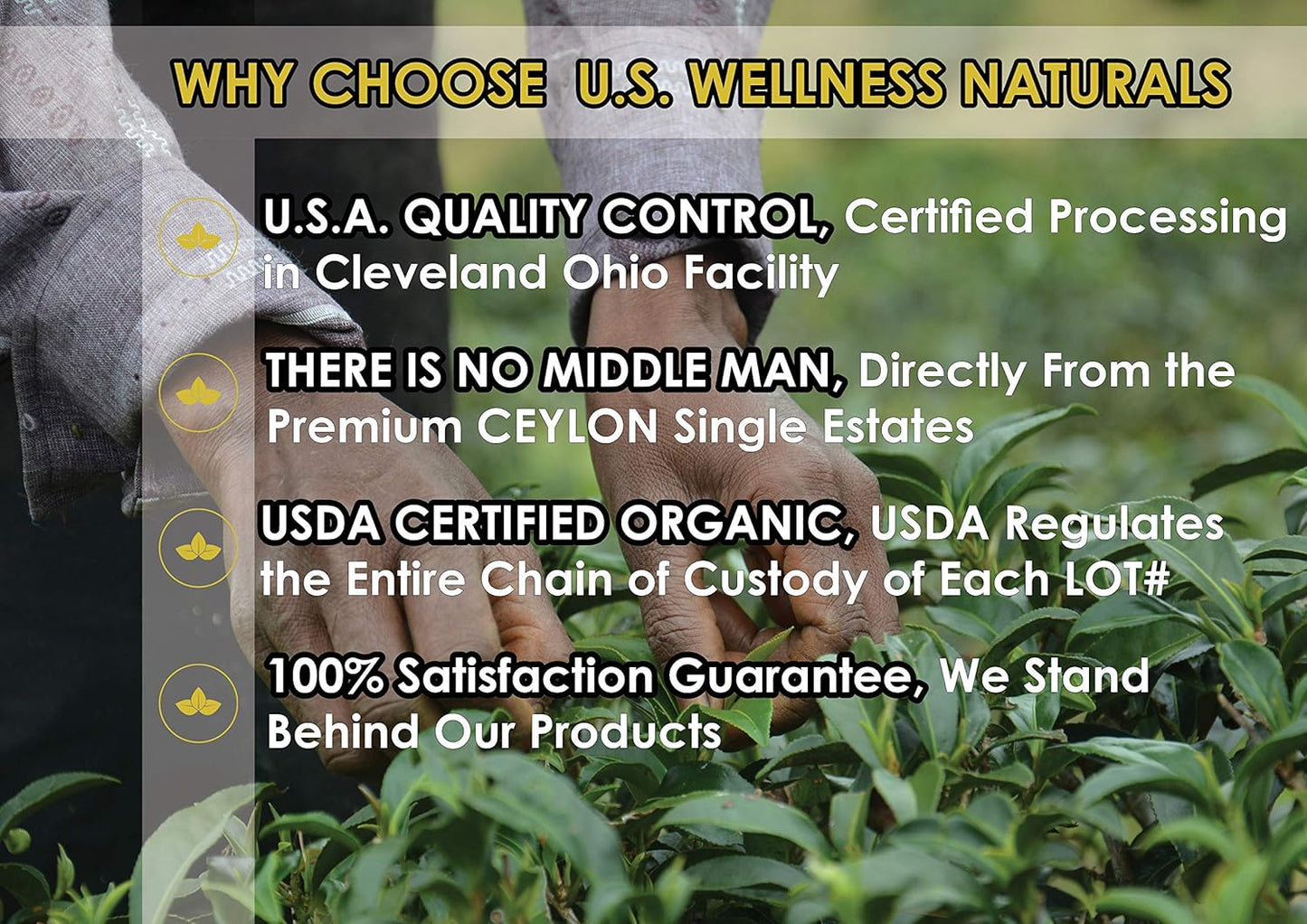 English Breakfast Tea | ORGANIC Ceylon OP grade loose leaf black tea | CRISP, RICH & AROMATIC | 110+ Cups | 100% Idulgashinna SINGLE Estate Tea