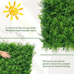 ODTORY Artificial Plants Hedge Wall Panels：20x20 Inch 4P UV-Anti Greenery - Image 7