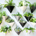 LaLaGreen Succulent Wall Planters - Image 8