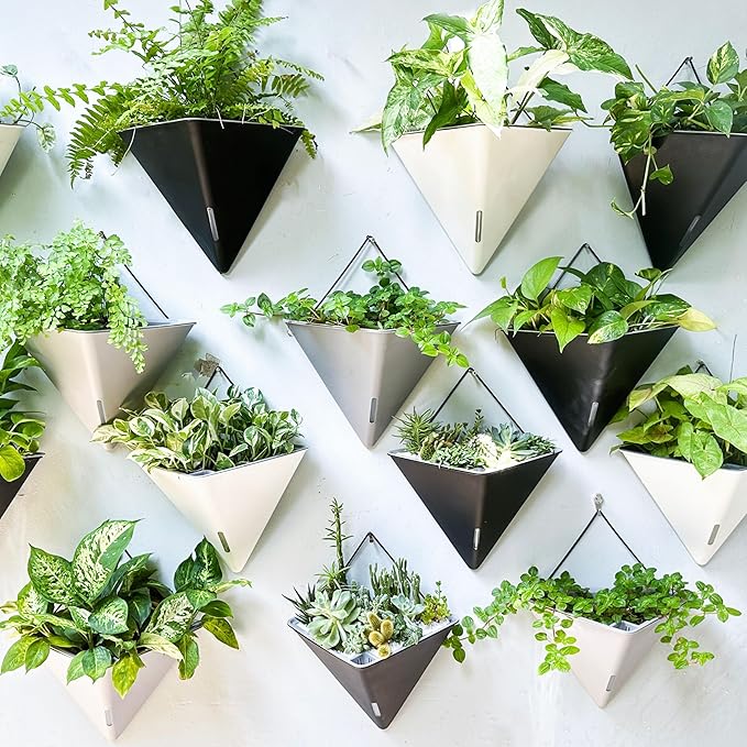 LaLaGreen Wall Planters for Indoor Plants - Image 8