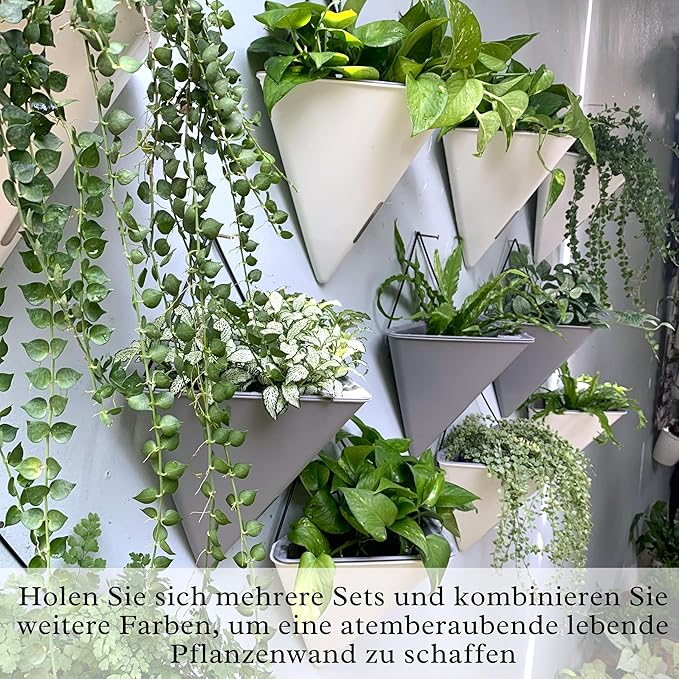 LaLaGreen Wall Planters for Indoor Plants - Image 6