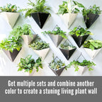 LaLaGreen Wall Planters for Indoor Plants - Image 7
