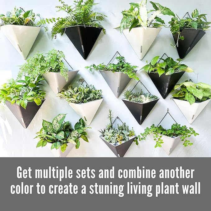 LaLaGreen Wall Planters for Indoor Plants - Image 6