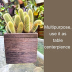 LaLaGreen Wood Planter Boxes Small Square Wooden Wall Mounted Flower Pot - Image 6