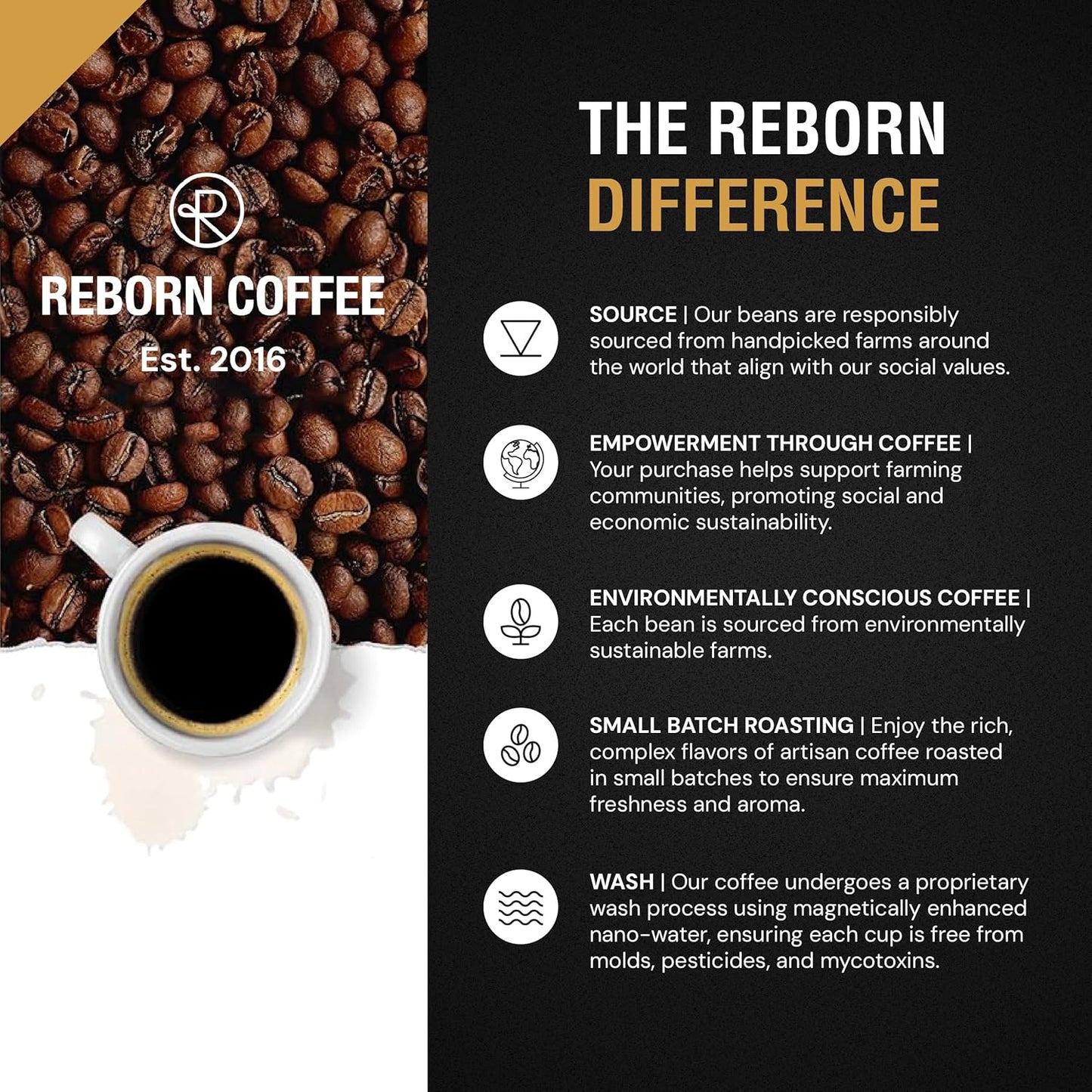 Reborn Coffee Specialty Whole Bean Coffee, Medium Roast, 12 Ounce, Colombia Black Condor Tolima, Flavor Notes of Chocolate, Nut, and Citrus