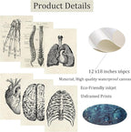 Ohhvvow Human Anatomy Artwork Medical Wall Art Canvas, 12 * 18 Inch Muscle - Image 2