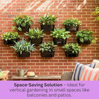 LaLaGreen Wall Planter Black Oval Metal Hanging Decor Plant Holder Wall Planters - Image 7