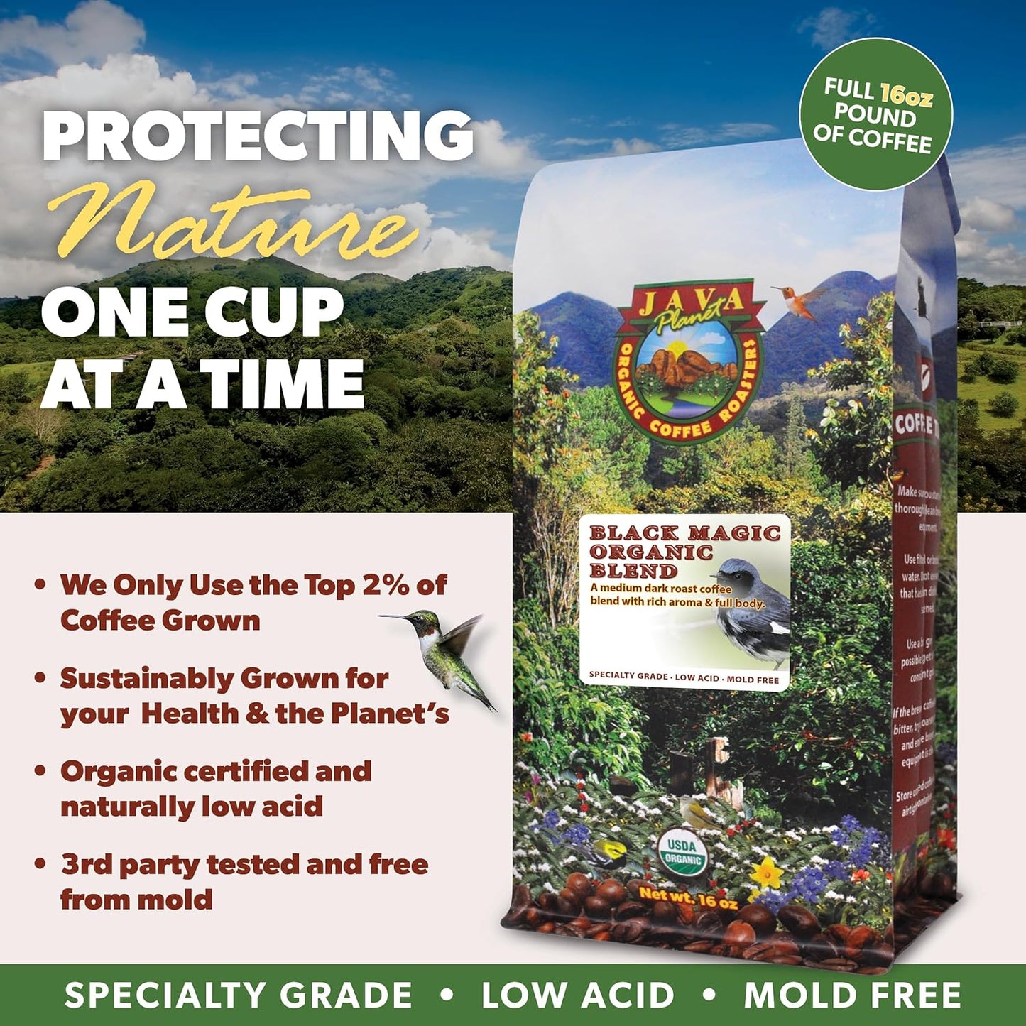 Low Acid Organic Coffee – Whole Bean, Mold-Free & Stomach Friendly by Java Planet, Black Magic Blend Coffee, Medium Dark Roast, Smooth Full Flavored, 5LB Bag