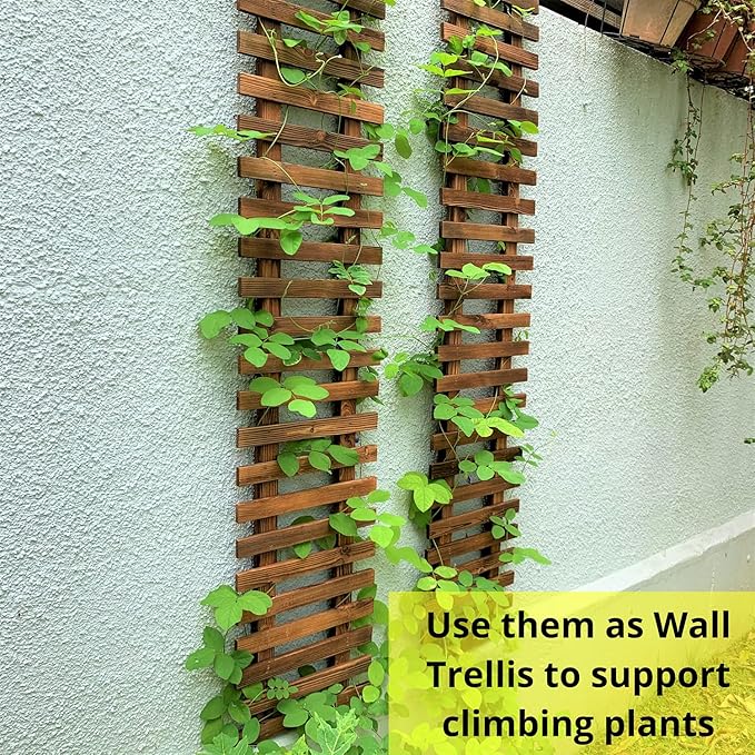 ShopLaLa Wall Planter - Image 4