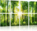 YPY Sound Proofing Panels for Walls: 8 Pack 48"x32" Decorative Art Acoustic by YPY