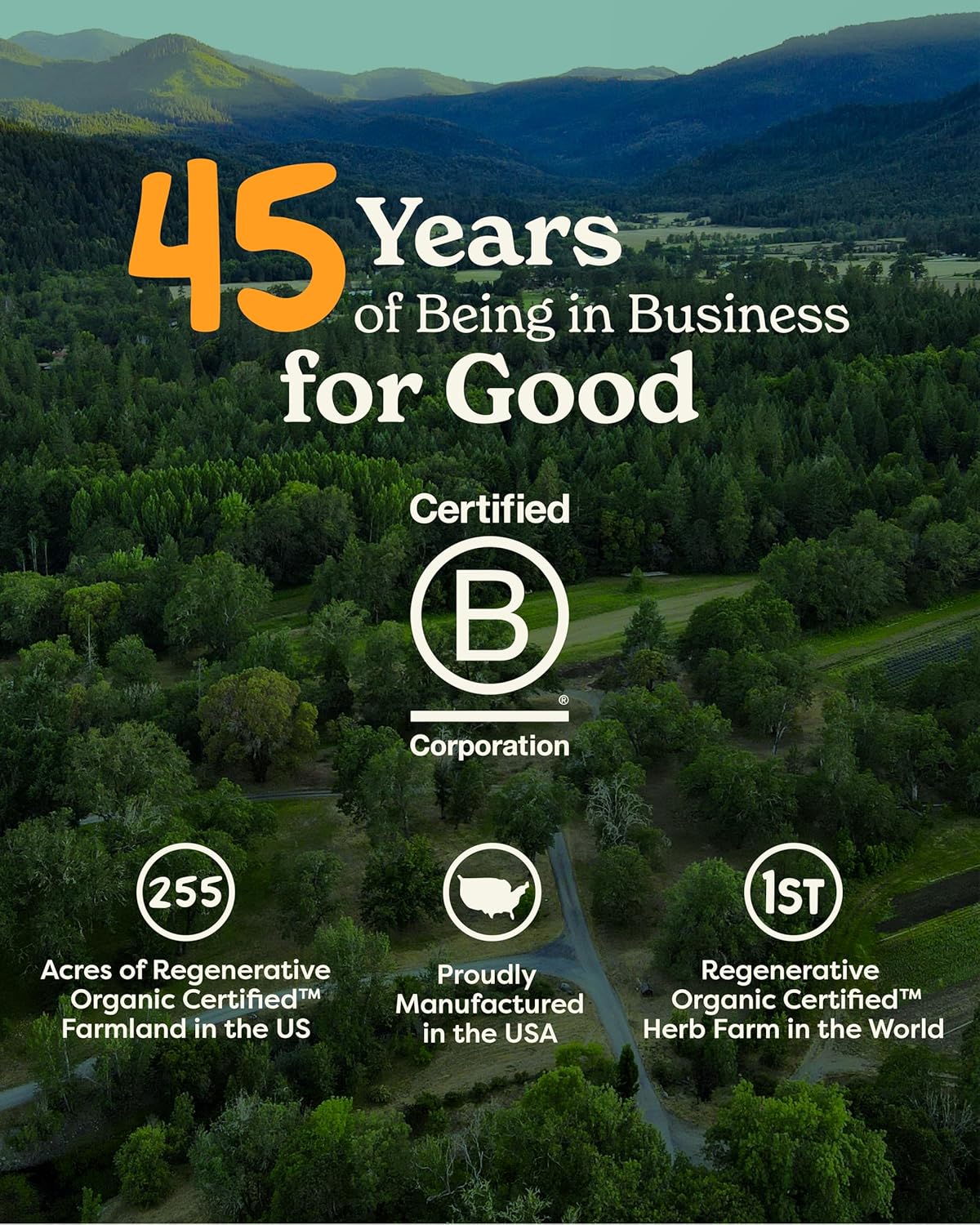 Herb Pharm Mullein Garlic Herbal Oil - contains Calendula, Garlic, Mullein flower, St. John's Wort, Olive Oil, 1 Ounce