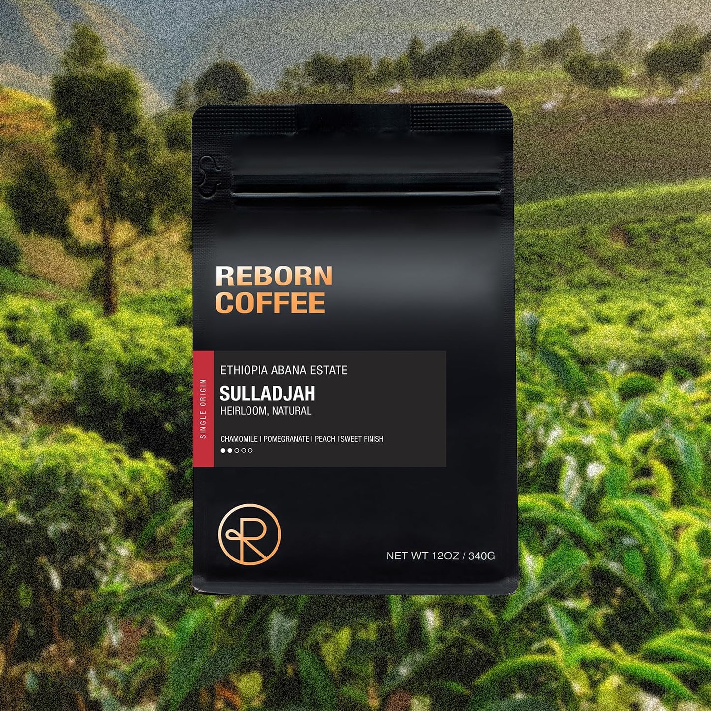 Reborn Coffee Specialty Whole Bean Coffee, Medium Roast, 12 Ounce, Ethiopia Abana Estate Sulladjah, Flavor Notes of Chamomile, Pomegranate, Peach, and Sweet Finish