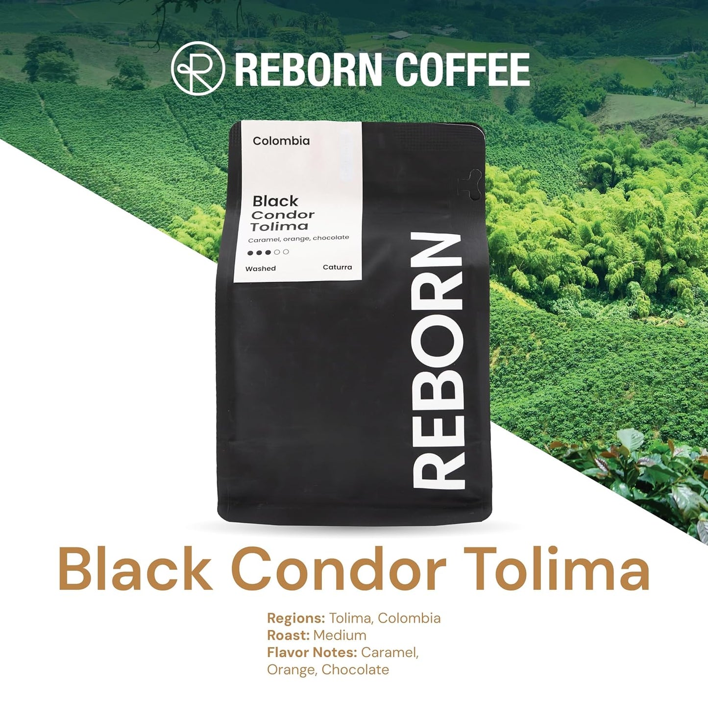 Reborn Coffee Specialty Whole Bean Coffee, Medium Roast, 12 Ounce, Colombia Black Condor Tolima, Flavor Notes of Chocolate, Nut, and Citrus